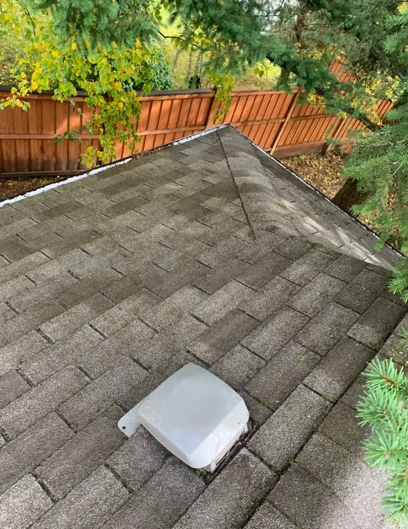 Same roof after Shine roof cleaning